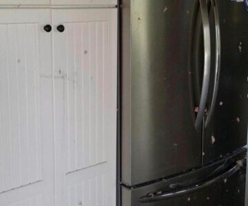 Fridge Before